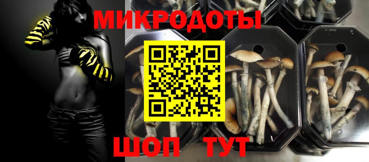 Галлюциногенные грибы мухоморы Россия